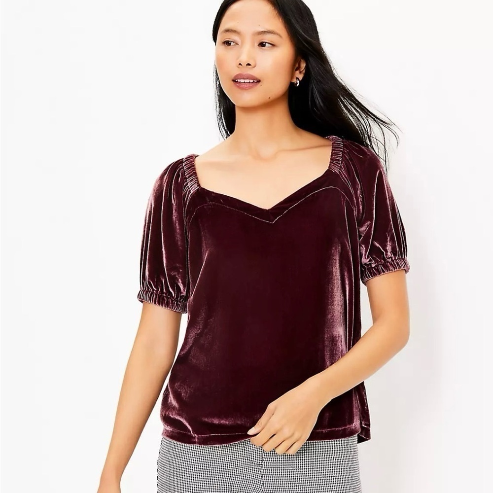 LOFT Large Petite Velvet Puff Sleeve Top